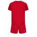 Cheap Denmark Home Football Kit Children World Cup 2022 Short Sleeve (+ pants)